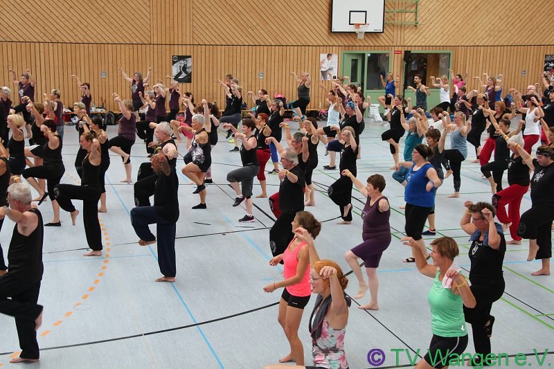 IMG_7228_(800_x_600)